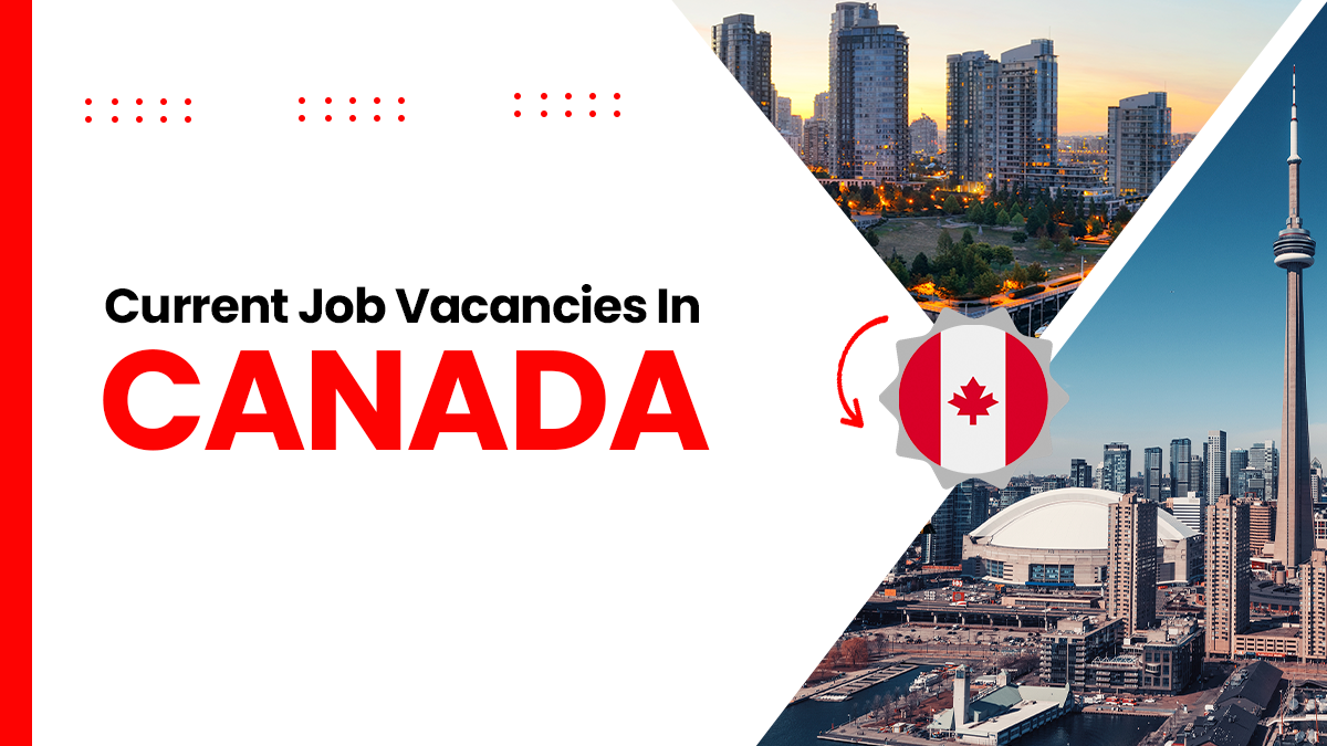 Current Canadian Job Report: What Does It Look Like?