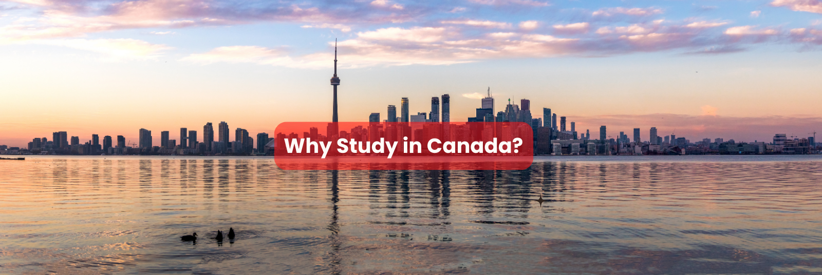 Discover Why Canada Is Your Ideal Study Destination