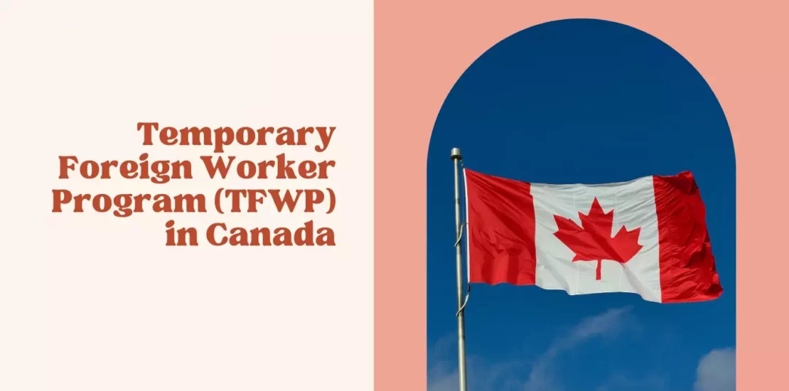 The Temporary Foreign Worker Program In Canada: An In-Depth Overview