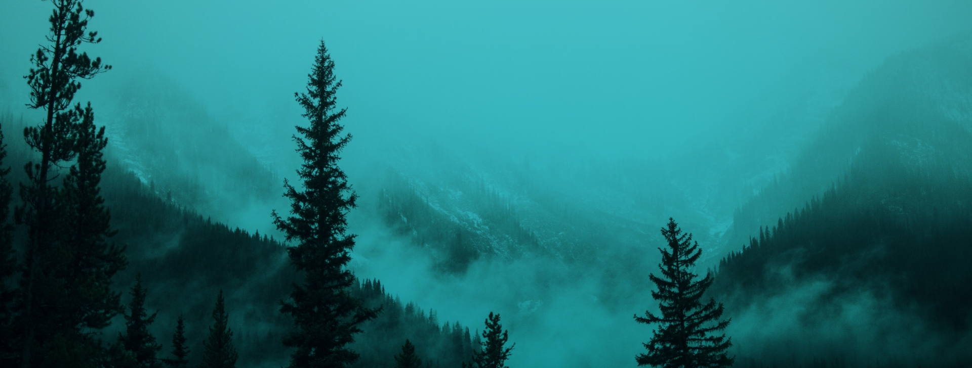 Testing Blog